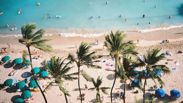 Waikiki Beach On Ocean And Sea And Sunshine