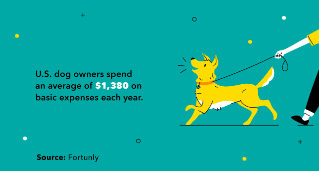 Illustrated dog walker with the stat that U.S. dog owners spend $1,380 a year on basic expenses.