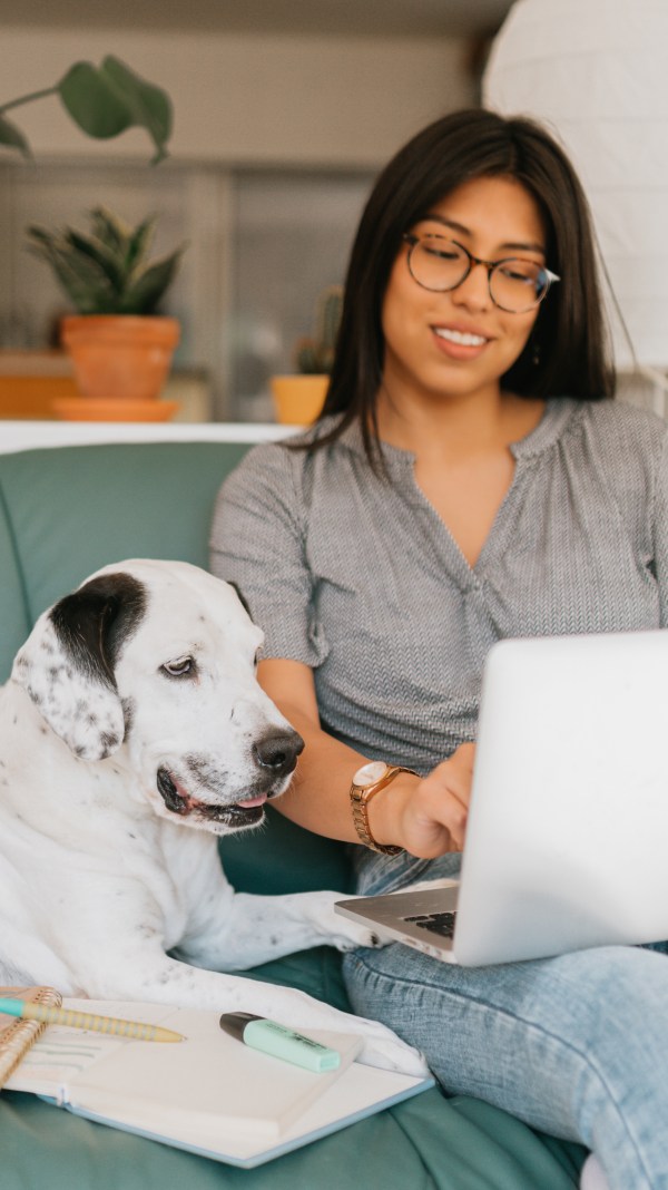 Young woman working from home on her laptop near her dog